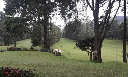 nuwaraeliya2